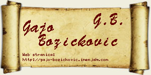 Gajo Božičković vizit kartica